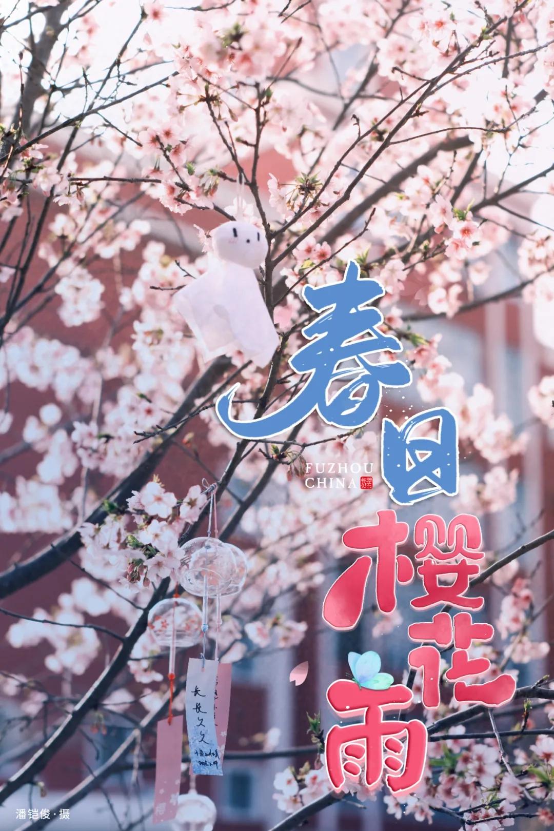 地铁直达！福州樱花大道！