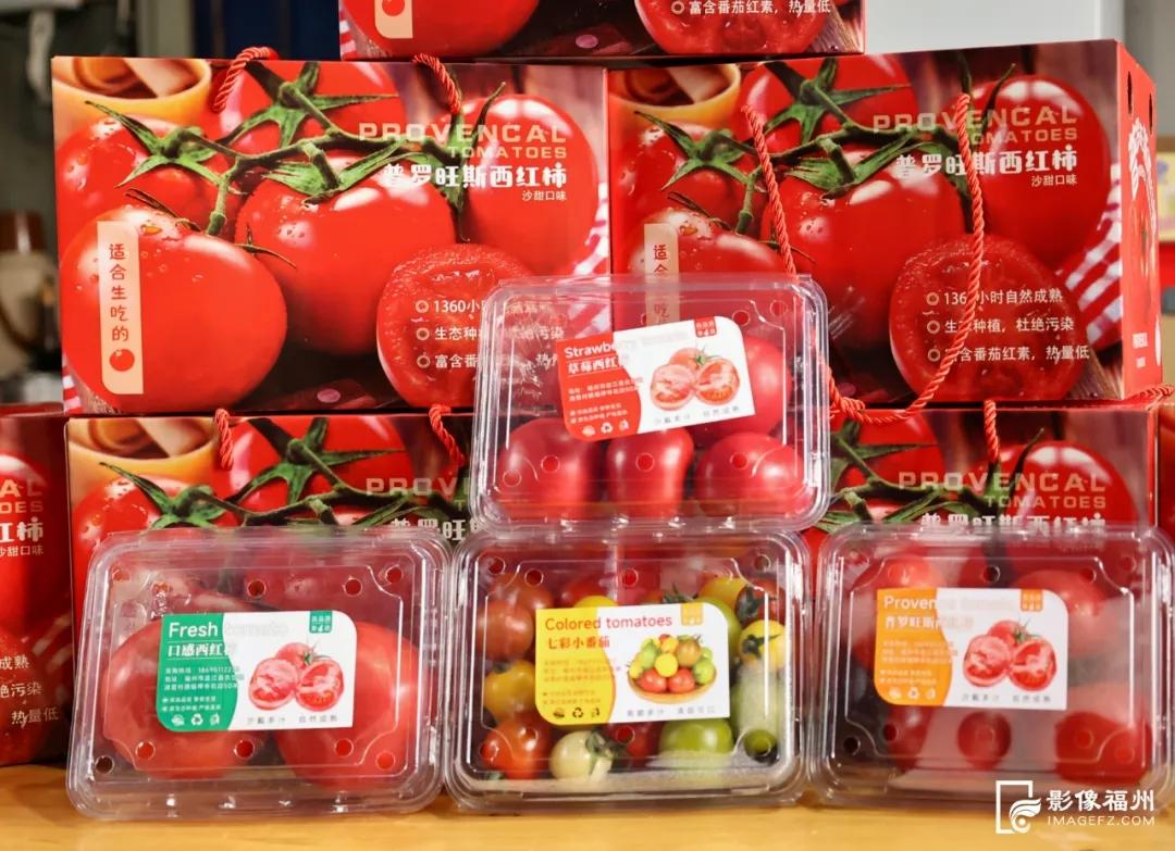 春果上市！草莓西红柿、七彩西红柿你吃过吗？
