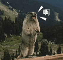 危险！再萌也不要碰！国家卫健委紧急提醒：土拨鼠也传播鼠疫