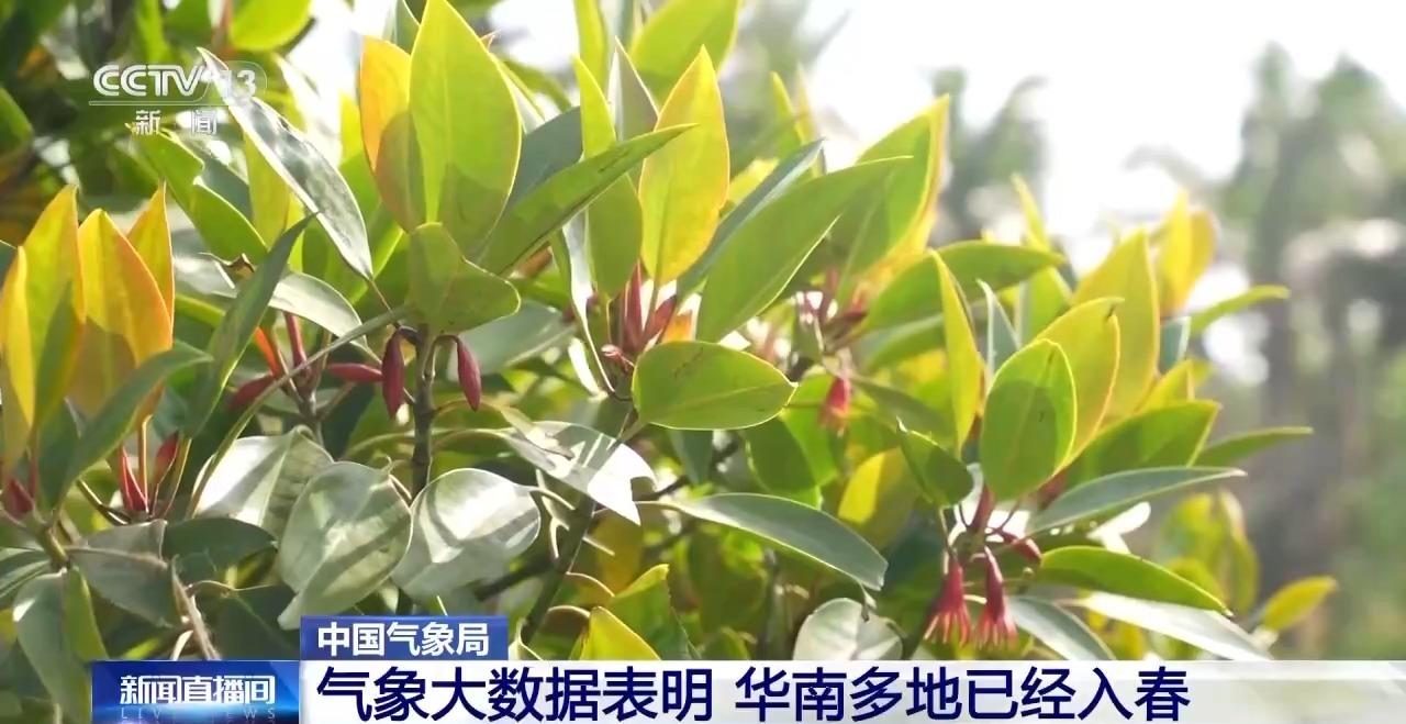 我国最早和最晚入春的城市是哪？你那里入春了吗？