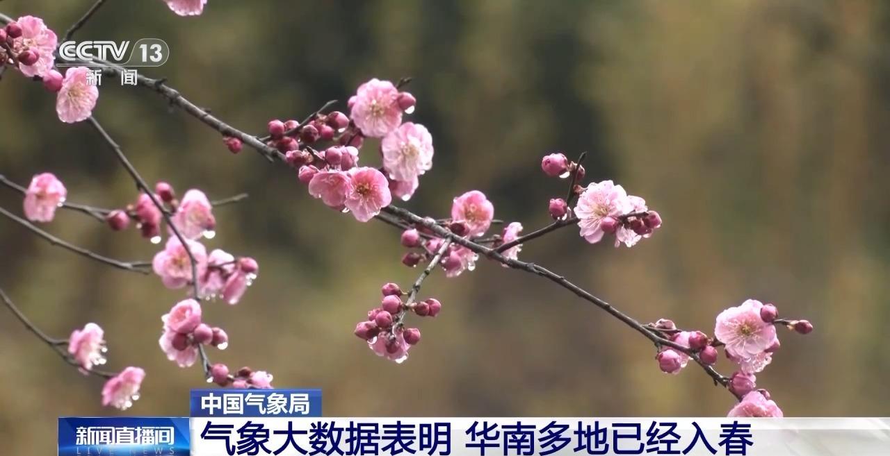 我国最早和最晚入春的城市是哪？你那里入春了吗？