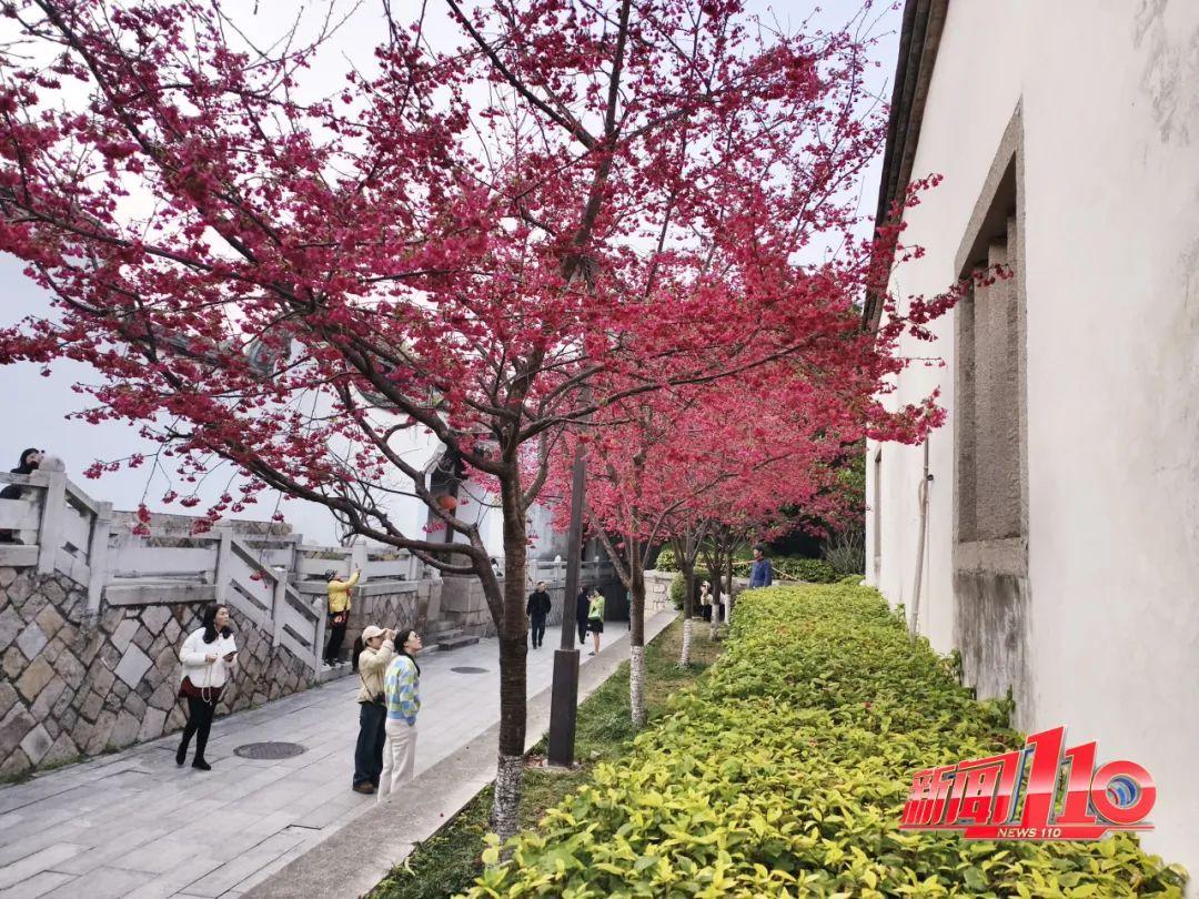 鼓楼、仓山、晋安……最近很多福州人偶遇，“太美啦”！