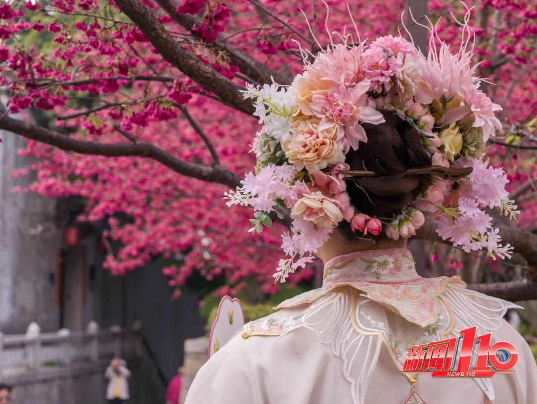 鼓楼、仓山、晋安……最近很多福州人偶遇，“太美啦”！