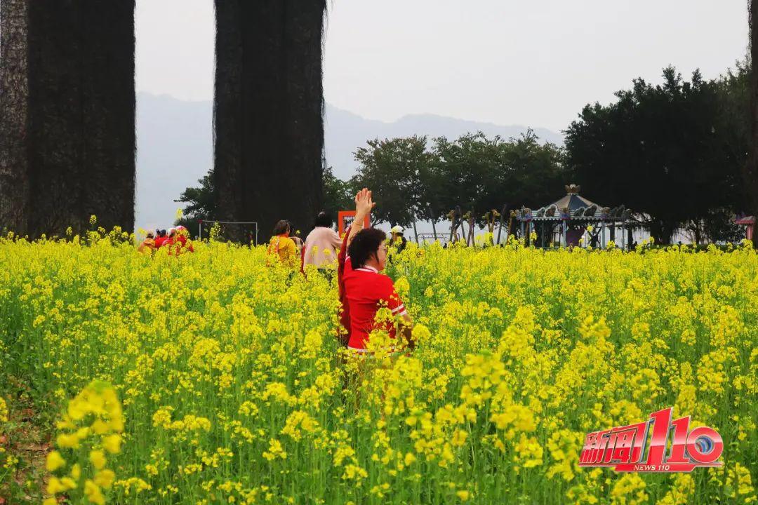 鼓楼、仓山、晋安……最近很多福州人偶遇，“太美啦”！