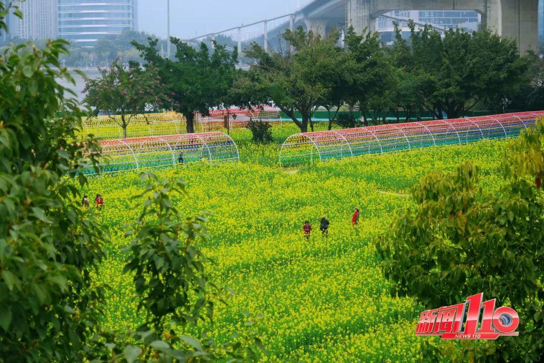 鼓楼、仓山、晋安……最近很多福州人偶遇，“太美啦”！