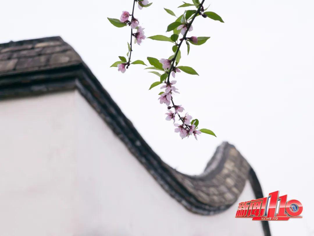 鼓楼、仓山、晋安……最近很多福州人偶遇，“太美啦”！