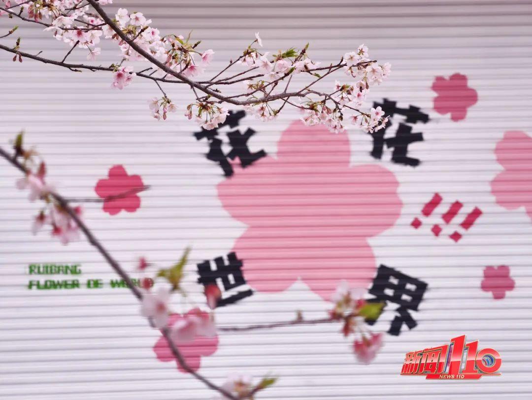 鼓楼、仓山、晋安……最近很多福州人偶遇，“太美啦”！