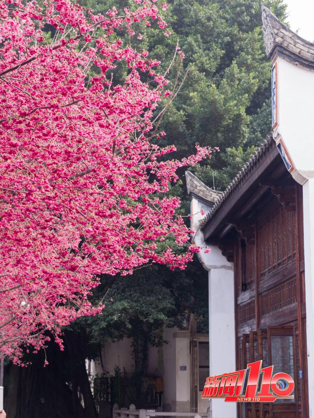 鼓楼、仓山、晋安……最近很多福州人偶遇，“太美啦”！