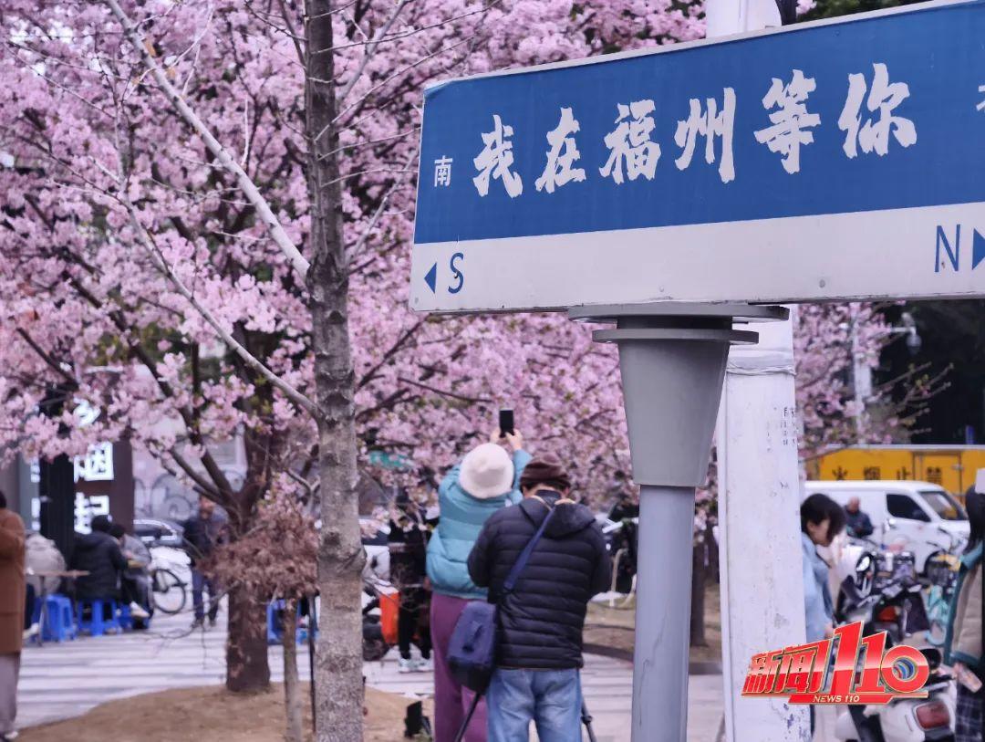 鼓楼、仓山、晋安……最近很多福州人偶遇，“太美啦”！