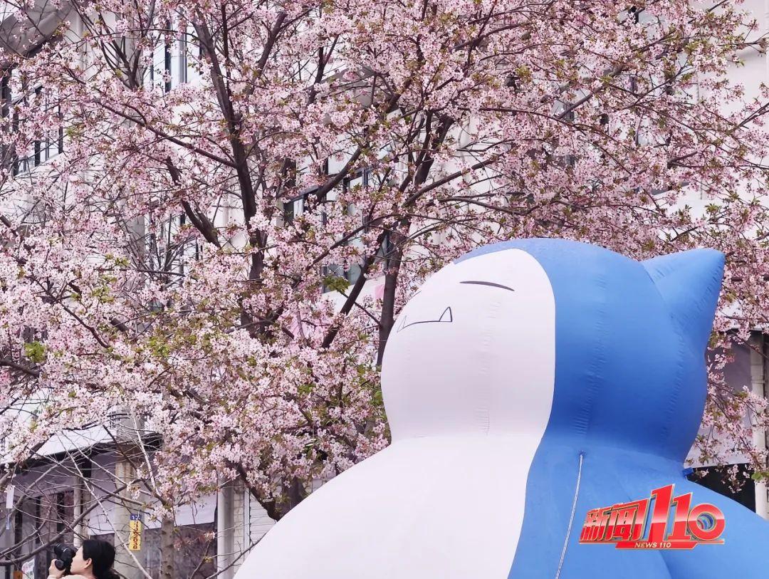 鼓楼、仓山、晋安……最近很多福州人偶遇，“太美啦”！