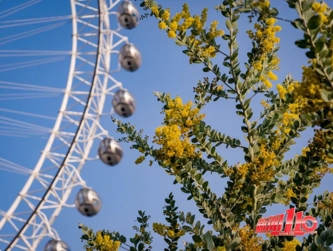 鼓楼、仓山、晋安……最近很多福州人偶遇，“太美啦”！