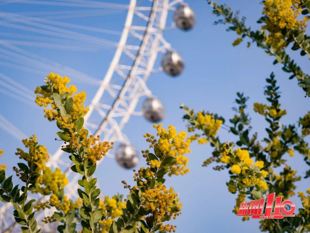 鼓楼、仓山、晋安……最近很多福州人偶遇，“太美啦”！