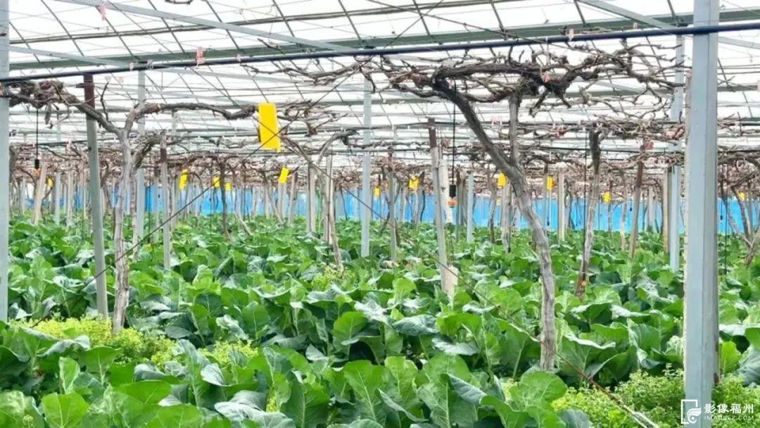 春风十里，不如奋斗的你！