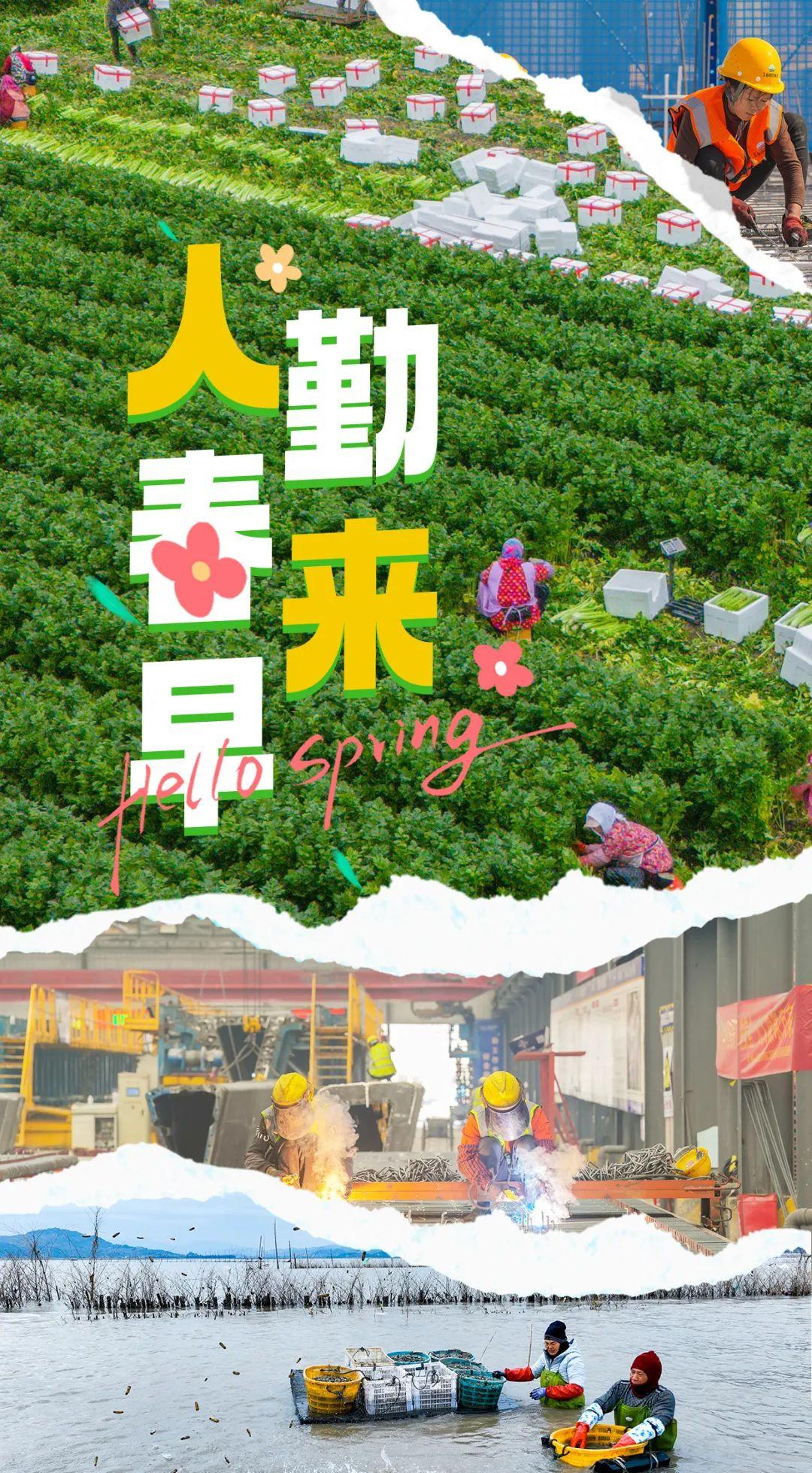 春风十里，不如奋斗的你！