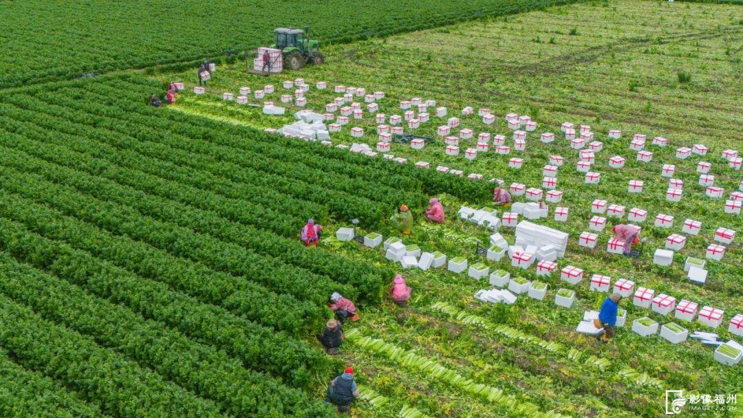 春风十里，不如奋斗的你！