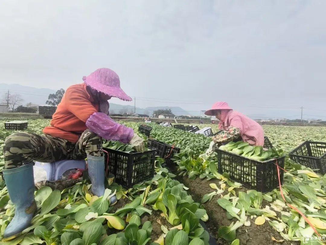 春风十里，不如奋斗的你！
