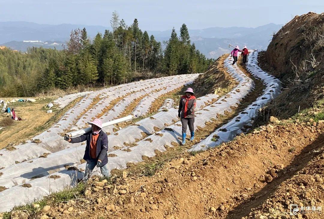春风十里，不如奋斗的你！