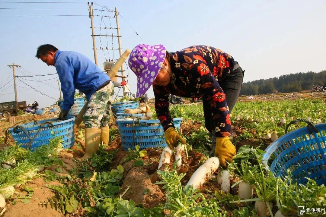春风十里，不如奋斗的你！