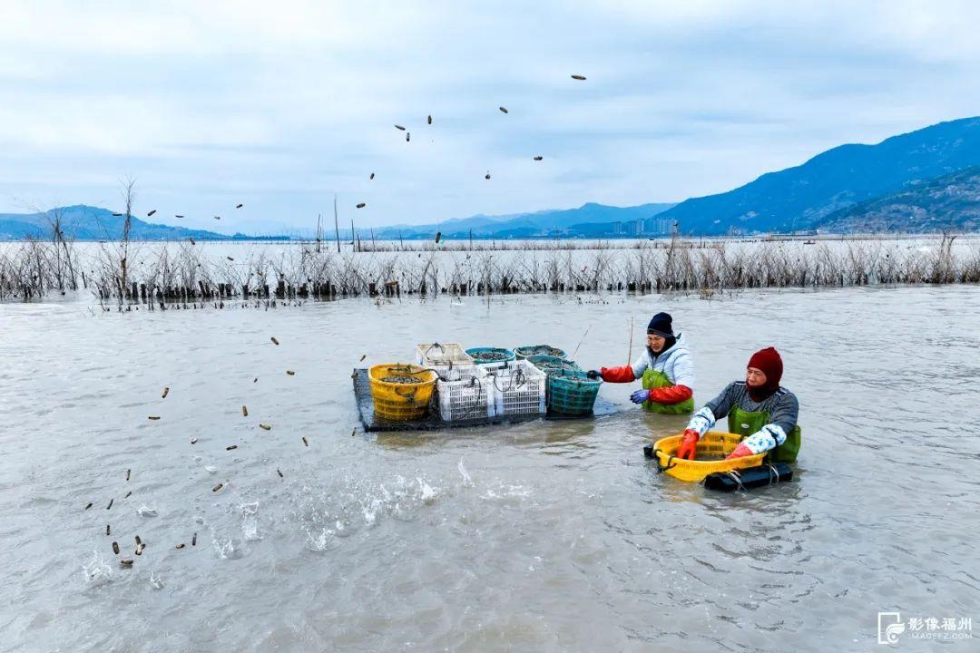 春风十里，不如奋斗的你！