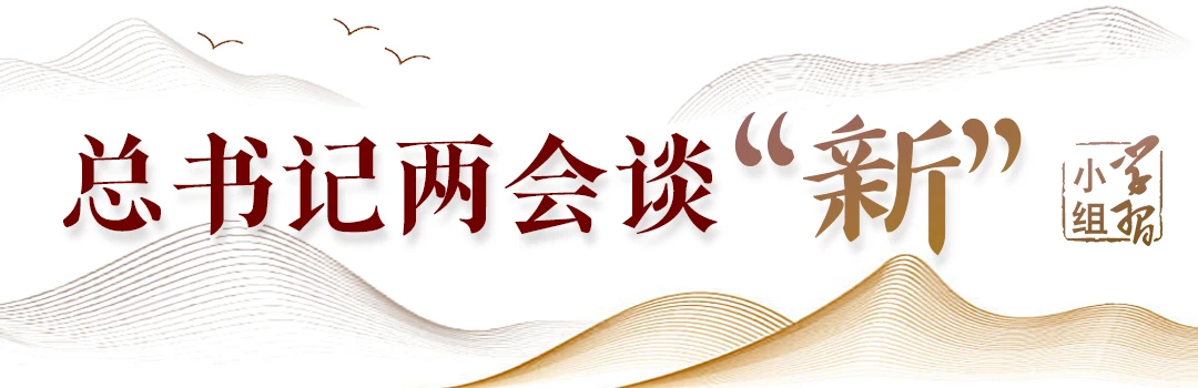 “先立后破、因地制宜、分类指导”｜总书记两会谈“新”②