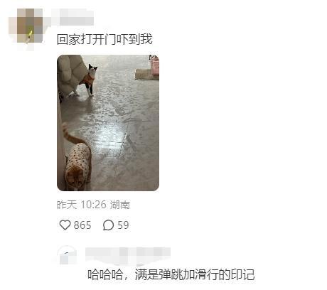 南方人最怕的回南天来了