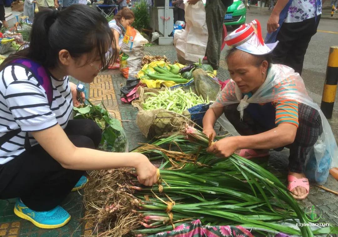 大学生逛菜市场发现新物种