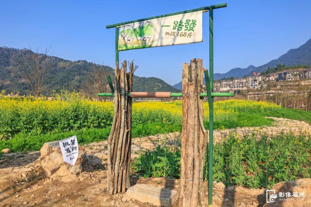 乘游船赏花！解锁游玩新体验！