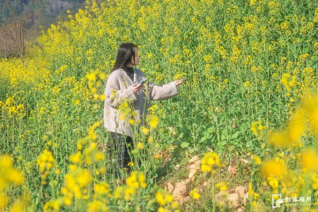 乘游船赏花！解锁游玩新体验！