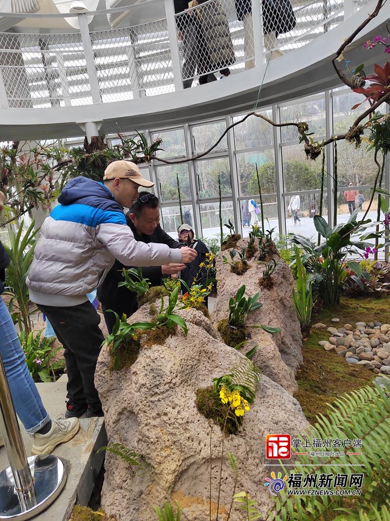 种苗繁育将有“福州标准” 福州标准化助力生态经济双赢