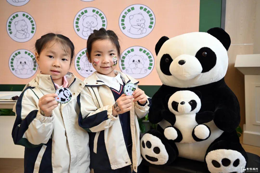 守护大熊猫！这场生态教育课堂太好玩了！