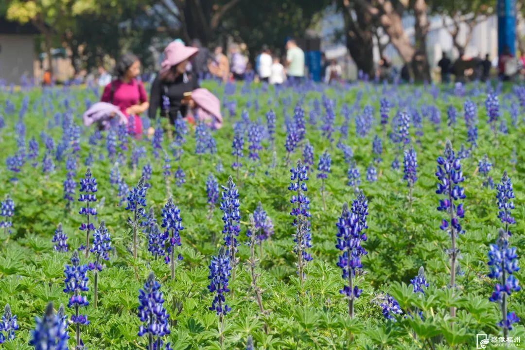 今天16时7分，福州正式进入……