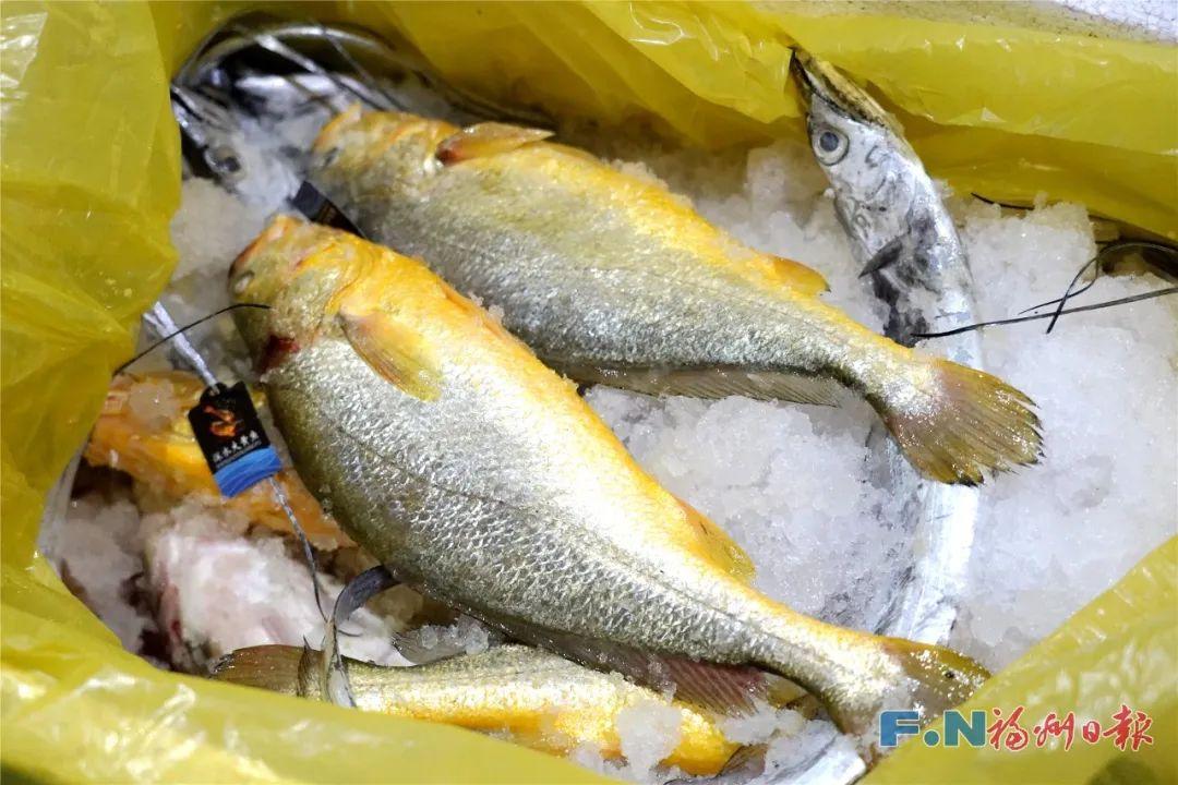 太鲜了！口福拉满！福州⇋奇台，正式开通！