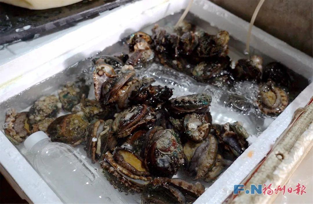 太鲜了！口福拉满！福州⇋奇台，正式开通！