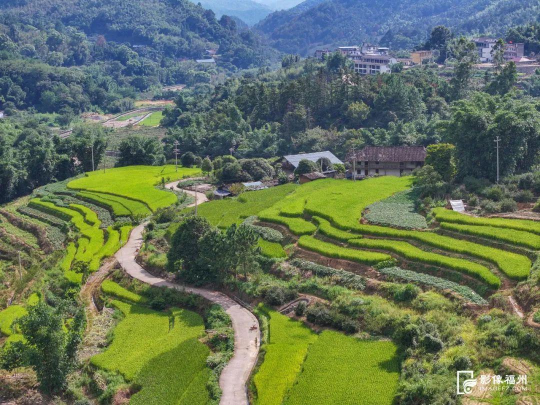 这个春天，福州“村游”玩出新花样！