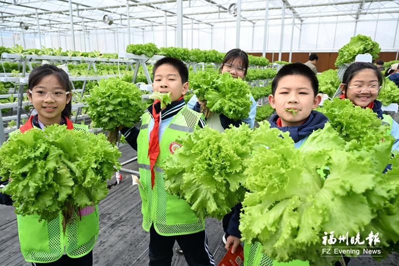 晋安实小“二刷”，福州晚报写作训练营走进马尾琅岐