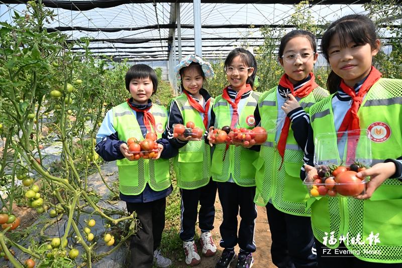 晋安实小“二刷”，福州晚报写作训练营走进马尾琅岐