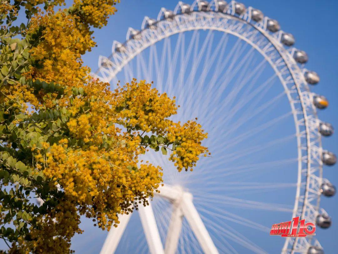 福州人期待已久！这座摩天轮即将开放！