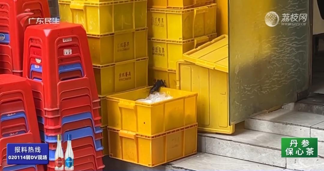 老鼠爬上餐具觅食 涉事餐厅停业整改