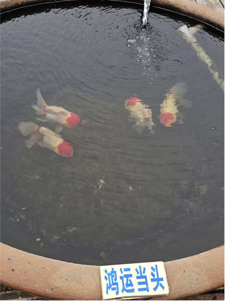 水生态价值转化路径福州实践：河湖长制引领 生态治水造福于民