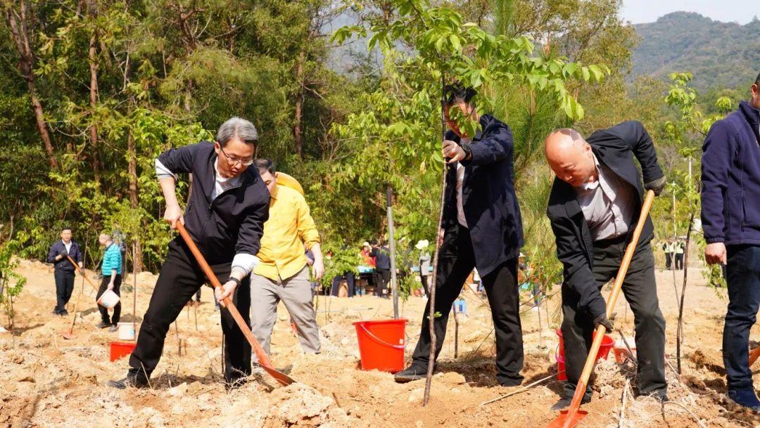 种下一片绿！晋安区领导参加义务植树活动！