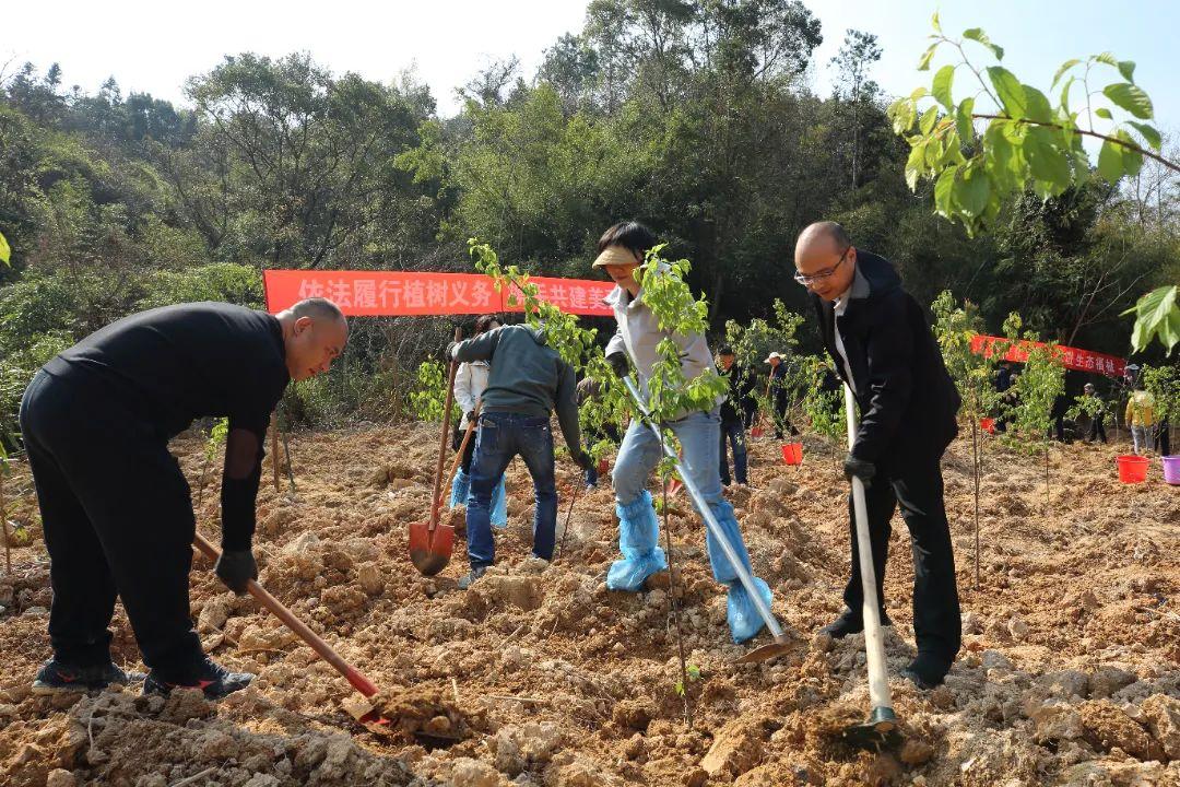 种下一片绿！晋安区领导参加义务植树活动！