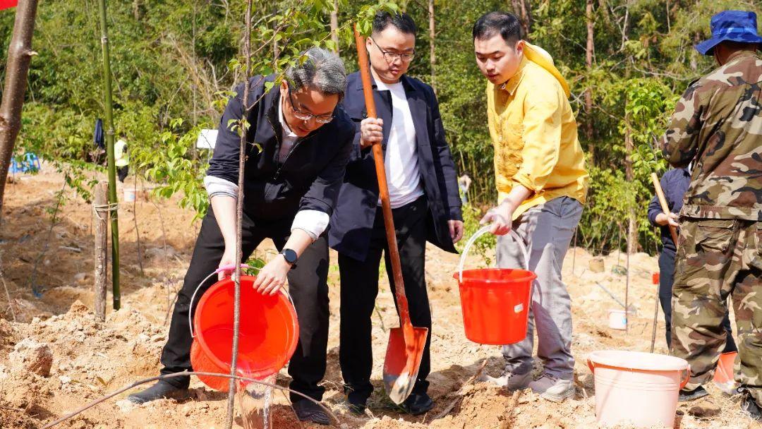 种下一片绿！晋安区领导参加义务植树活动！