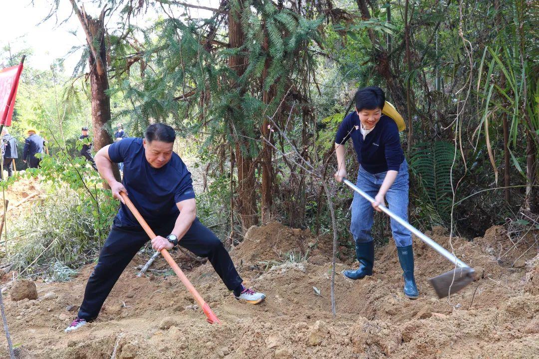 种下一片绿！晋安区领导参加义务植树活动！