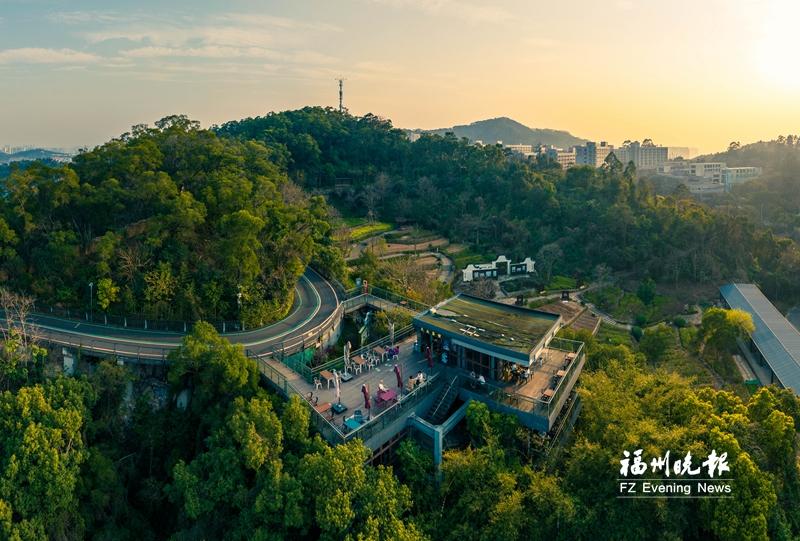 福州全民义务植树活动成效显著