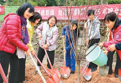 人民日报海外版关注：闽台姐妹共植“巾帼林”