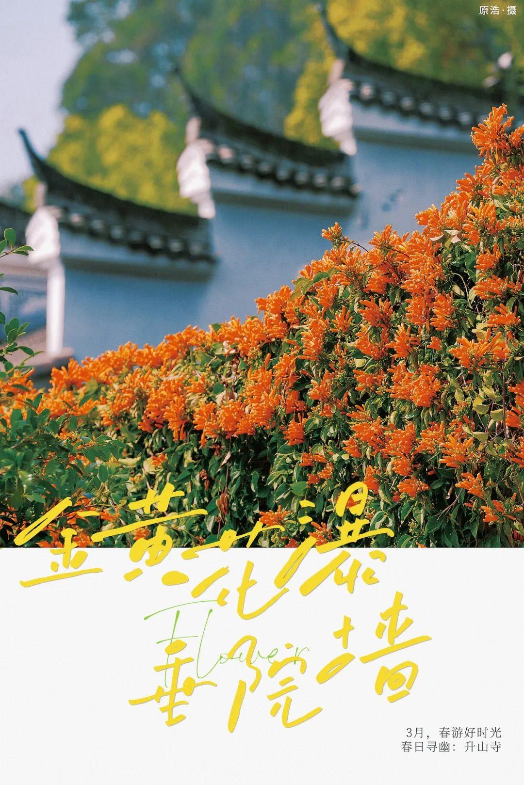 古寺“簪花”!福州绝美花瀑上线! 古寺“簪花”!福州绝美花瀑上线!