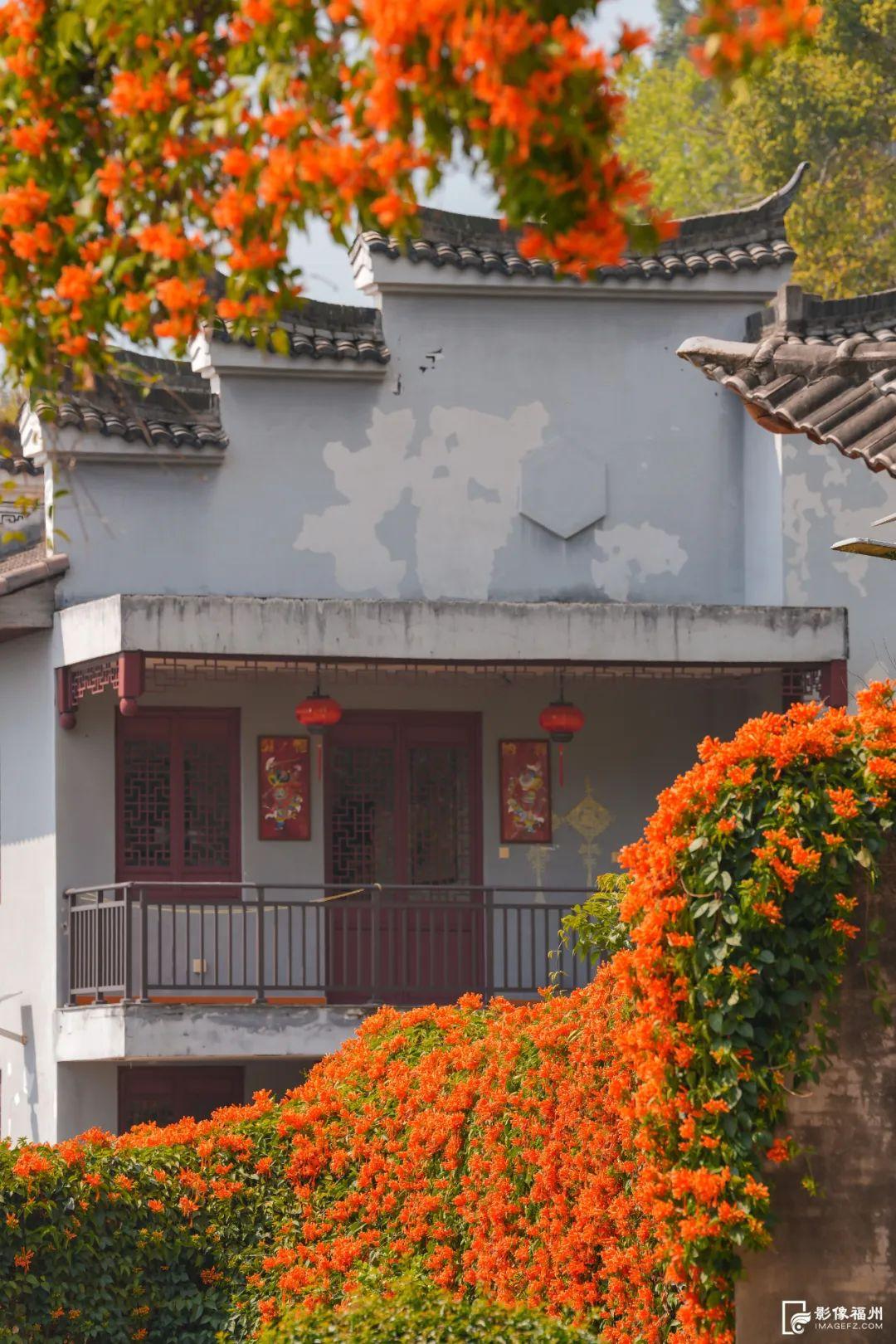 古寺“簪花”!福州绝美花瀑上线! 古寺“簪花”!福州绝美花瀑上线!