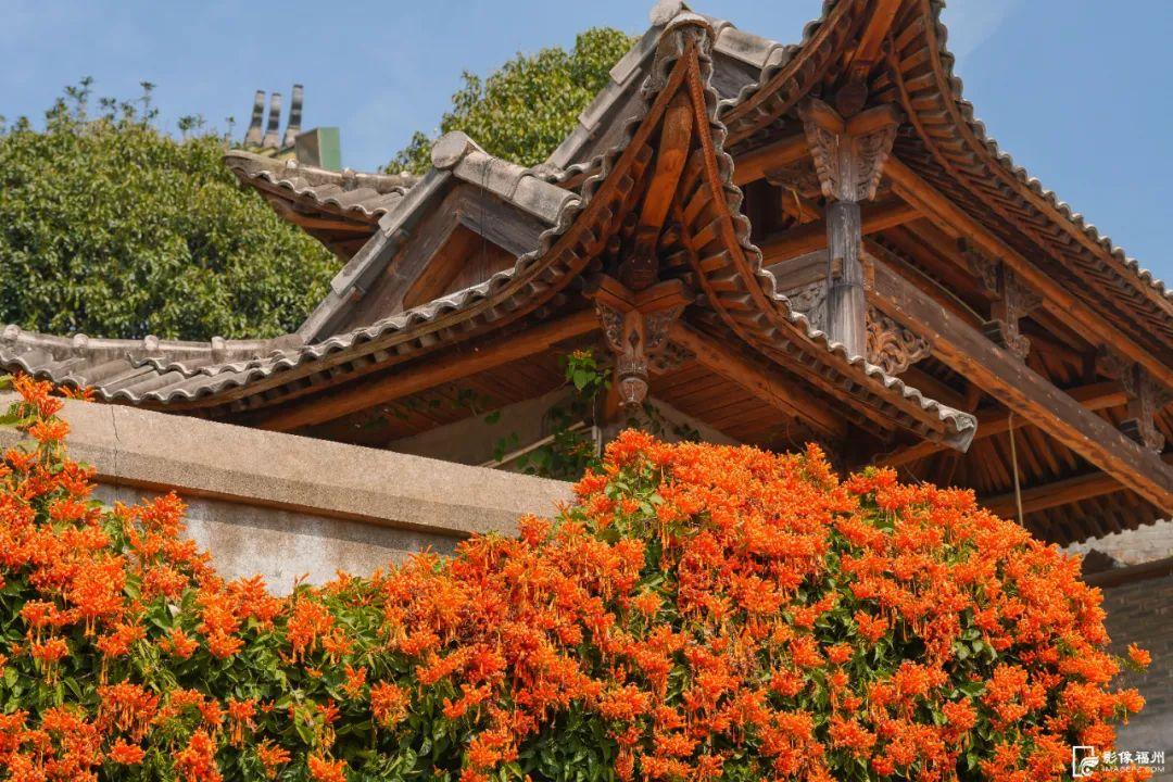古寺“簪花”!福州绝美花瀑上线! 古寺“簪花”!福州绝美花瀑上线!