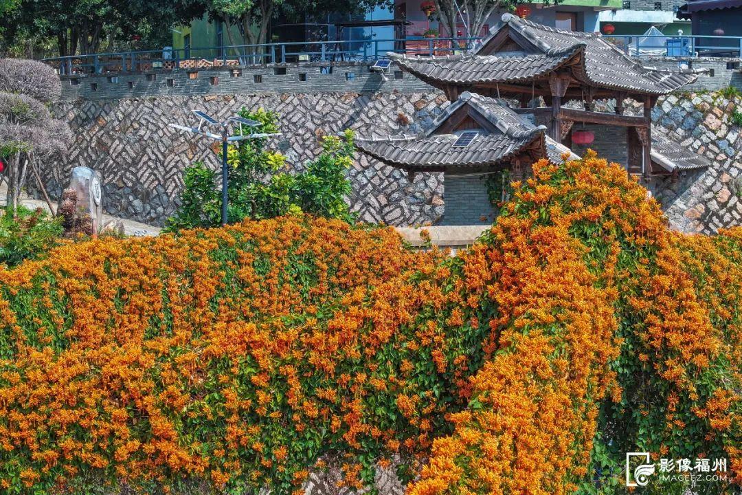 古寺“簪花”!福州绝美花瀑上线! 古寺“簪花”!福州绝美花瀑上线!