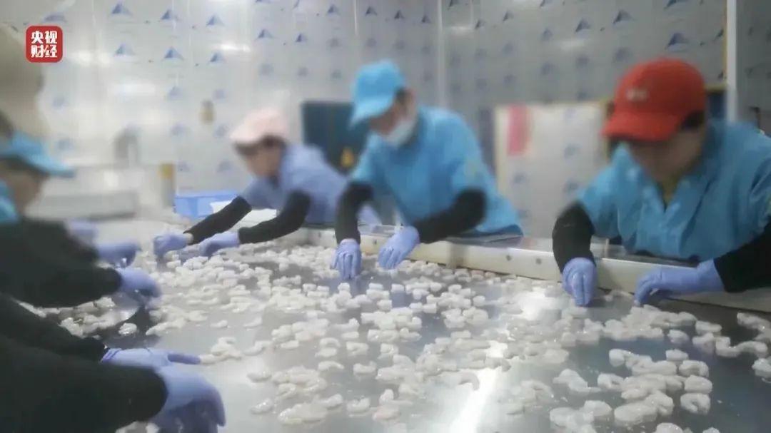 查封！关停！各地多部门连夜查处